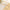 Minimalist 14K Gold-Plated Stainless Steel Coffee Bean Pendant Necklace for Women