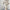 Elegant Pleated Long-Sleeve Flared Dress with Belt – Women's Autumn/Winter Knit Polyester