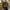 Women's Faux Leather Ombre Winter Coat with Faux Fur Trim — Elegant Cold-Weather Jacket