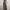 Women's Button-Detail V-Neck Cami Wide-Leg Jumpsuit – Sleeveless Casual for Spring & Summer