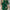 Elegant Women's V-Neck A-Line Dress with Bird & Floral Print — Long Sleeve Polyester, Green with Gold Accents
