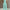 CHICME Women’s Mint Green Jumpsuit — Spaghetti Strap Textured Pantsuit, Non-See-Through, Machine Washable, All-Season Office & Party Outfit