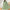 Women's Elegant Long Sleeve Maxi Dress Tie-Waist Polka Dot Flowy Evening Gown for Weddings, Office & Casual