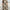 Plus Size Floral Maxi Dress with Side Pockets - Golden Floral Print, Loose Fit, Round Neck, All-Season
