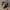 Women's Embroidered Pointed-Toe Block Heel Sandals, Thick Platform, Bungee Closure, Breathable Fabric Upper - Black Dress Heels