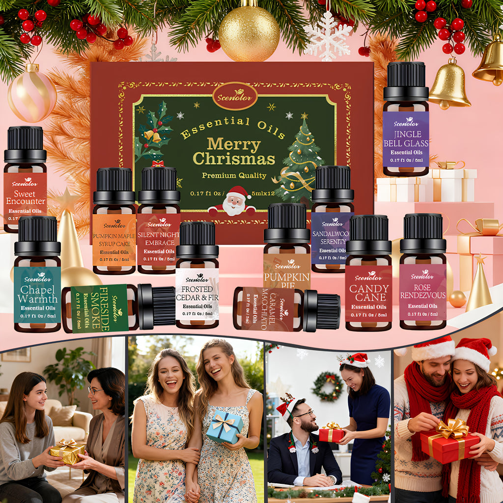 12-Pack Holiday Essential Oils Set 0.17 fl oz (5 ml) Bottles — Cinnamon, Gingerbread, Christmas Tree, Pumpkin Cake, Sandalwood, Fireside | Aromatherapy Oils for Diffusers, Humidifiers & Candle Making