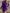 Women's Purple X-Line Sweater Dress – Crew Neck Textured Knit, Non-Transparent Acrylic for Office & Casual