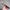Pro Makeup Brush Set — Mini Foundation & Concealer Brushes, Angled Flat-Top Kabuki for Contour, Blending & Setting (Powder, Liquid, Cream)