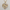 Elegant Mom Heart Pendant Necklace with Sparkling Flower Accents – Gold-Tone Zinc Alloy Mother's Day Gift