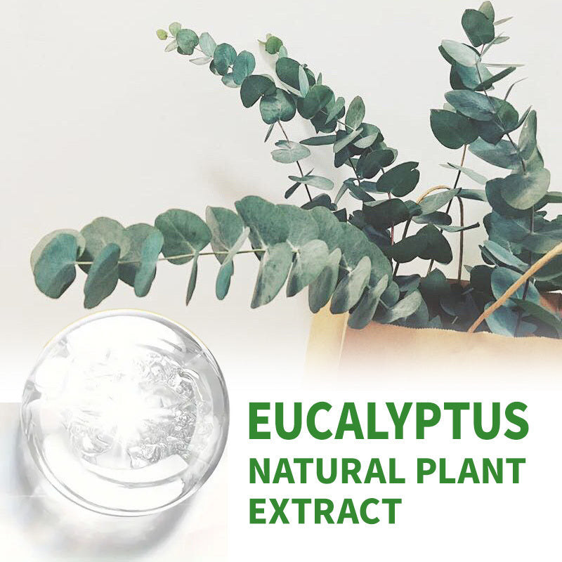 Natural Eucalyptus Essential Oil 1.01 oz (30 ml) – Moisturizing Multi-Purpose Oil for Skin, Hair & Massage