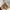 Plush Faux Fur Handbag for Women — Soft Round Bucket Shoulder Bag with Zipper, Party & Everyday Glam