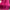Fuchsia Pink Scarf with Gold Trim, Sun-Proof Lightweight Shawl for Spring & Autumn — Versatile Women's Wrap