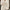Plus Size Twist-Front Button Cardigan Sweater – V-Neck Long Sleeve Casual Knit