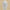 Breathable Embroidered Triangle Scarf 29.5 in x 55.1 in (75 x 140 cm) Lace Tassel Shawl Wrap