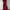 White Ribbed Knit Crew Neck Long Sleeve Bodycon Dress for Women, Fall Casual Chic