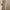 Women's High Neck Long Sleeve Knit Midi Dress - Soft Acrylic Blend, Regular Fit