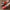 Women's Cozy Winter Slippers Plush Lined Indoor House Shoes with Thick TPR Sole Faux Fur Trim, Red