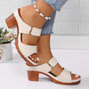 Women's Platform Slip-On Sandals, Chunky Block Heel, Soft PU Sole, Ankle-Strap Open Toe