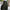 Plus Size Women's Elegant Maxi Skirt Flared Hem Non-Stretch Pants-Skirt for Office, Party & Wedding