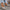 Vintage Floral Crystal Embellished Women's Slip-On Loafers - Lightweight All-Season Flats with TPR Sole and Fabric Insole