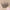 Champagne Gold Professional Makeup Brush Set with Travel Case — Foundation, Blush & Eyeshadow Blending Brushes | Gift Set for Women