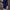 Contrast Trim Crew Neck Long Sleeve Dress for Women, Fitted Casual Knit for Spring & Fall