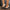 Women's D'Orsay Pointed Toe Block Heel Pumps - High Heels