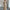 Beige Knit Sweater Dress with Lantern Sleeves, Long High-Neck Ribbed Fall Winter Dress for Women