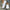 Women's One-Strap Ballet Flats - Comfortable Fabric Flats