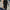 Women's Sexy Skinny Jeans — Viscose Blend Stretch Pants with Button Detail for Fall/Winter