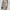 Women's Knit Turtleneck Bodycon Dress - Long Sleeve Solid Color