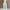 CHICME Women’s Mint Green Jumpsuit — Spaghetti Strap Textured Pantsuit, Non-See-Through, Machine Washable, All-Season Office & Party Outfit