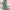 Navy Deep V A-Line Maxi Dress with Flutter Ruffle Sleeves & Elastic Waist — Elegant Vintage Women's Dress