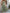 Green Floral V-Neck Maxi Dress, Cinched Waist A-Line with Short Batwing Sleeves — Glossy Polyester for Spring/Summer
