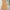 Plus Size Floral Print Maxi Dress for Women — V-Neck Shirred Peplum