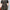 Plus Size Camouflage V-Neck Batwing A-Line Knee-Length Dress – Casual Summer Tunic, Loose Fit (Orange Brown Camo)