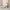 Women's White/Black Pointed-Toe Bell Heel D'Orsay Pumps - PU Leather Formal Wedding, Party & Office Shoes