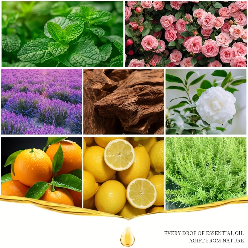 Volcano Dazzle Aroma Diffuser Humidifier with 8-Pack Essential Oil Set — Sweet Orange, Lemon, Vanilla, Sandalwood, White Tea, Peppermint, Lavender, Rose — Home Fragrance & Candle Making