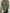 Women's Floral Long Sleeve Lace-Collar Tee — Elegant Spring & Fall Knit Top