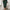 Elegant Plus Size Houndstooth Bodycon Skirt - High-Waist Stretch Side Slit, All-Season