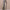 Women's Plus Size Hooded Cardigan, Long Cozy Knit Sweater with Double Pockets, Loose Fit - Solid Color, Fall/Winter