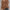 Plus Size Crew Neck Knit Sweater - Casual Long Sleeve Pullover for Fall and Winter, Women's