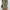 Teal Green & Beige Floral Maxi Dress - V-Neck Fit and Flare, Stretchy Knit, Machine Washable