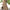 Women's V-Neck Sleeveless Maxi Dress – Elegant Loose Flowy Long Dress in Burgundy | All-Season, Machine Washable