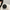Light Luxury Round Spherical Handbag Shiny Evening Clutch Party Ball Tote for Women