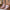 Soft Heart Bow Slippers – Winter Cozy Plush Slip-On Indoor House Shoes for Women & Men