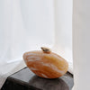 Coffee Brown Acrylic PVC Evening Bag with Pearl Chain, Removable Shoulder Strap and Magnetic Closure for Weddings and Dinners