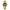 SAILANG Automatic Mechanical Unisex Watch – Green Luminous Dial, Gold-Tone Rhinestone-Embellished Case, Alloy Band, Date Display