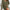 Plus Size Olive V-Neck A-Line Sweater Dress - Short Sleeve Single-Button Closure, Machine Washable Knit for Office & Semi-Formal