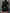 Plus Size Elegant V-Neck Lantern Sleeve A-Line Dress with Belt and Deep Side Pockets, Stretchy Fitted Long Sleeve Party Dress